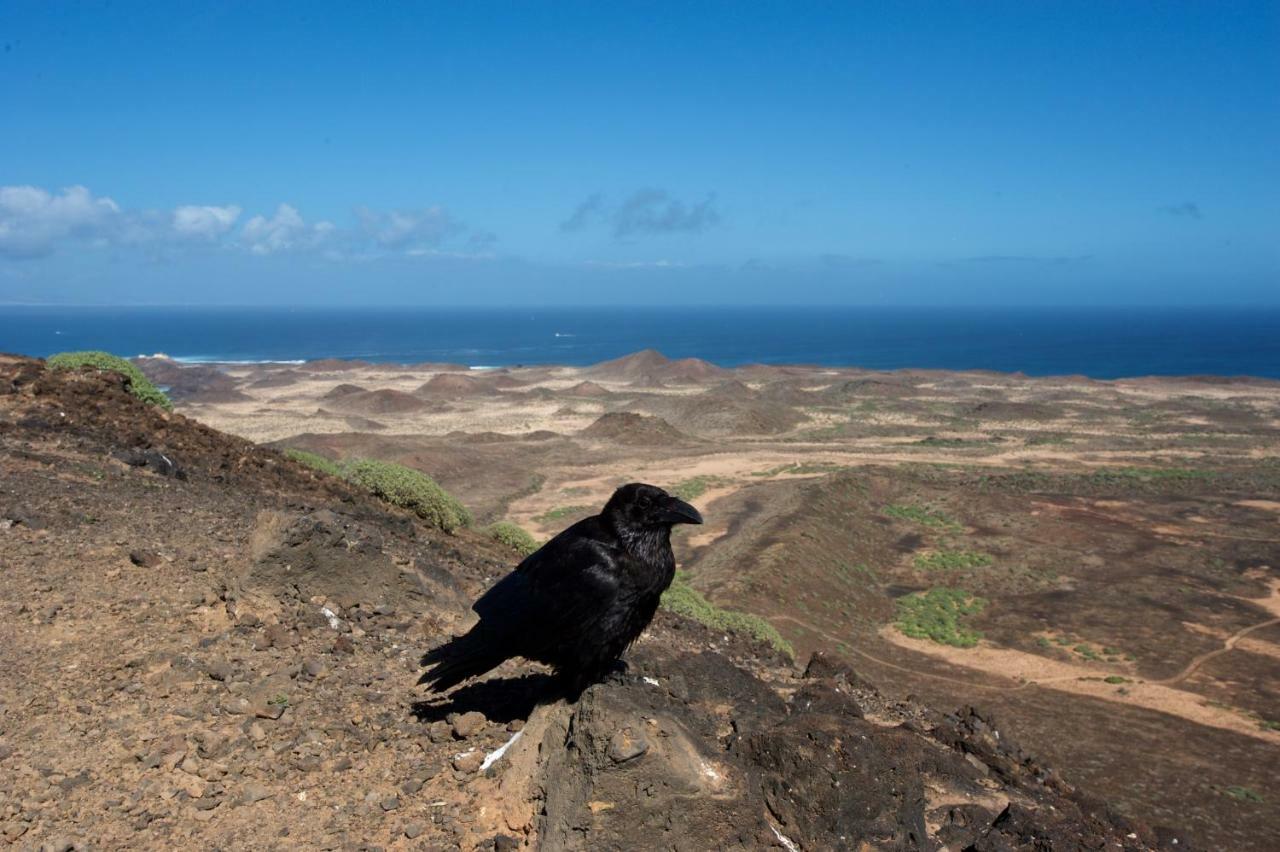 Molino De El Roque Daire Cotillo Dış mekan fotoğraf