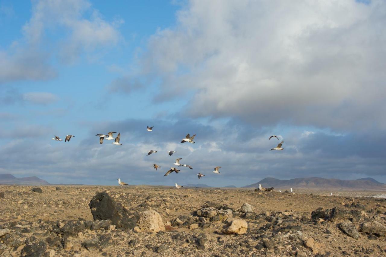 Molino De El Roque Daire Cotillo Dış mekan fotoğraf